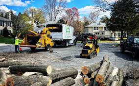 Best Tree Mulching  in Leavittsburg, OH